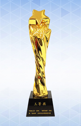 Smart Craftman Award
